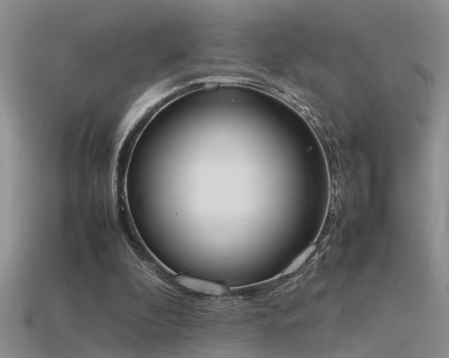 X0000115760296200911131201