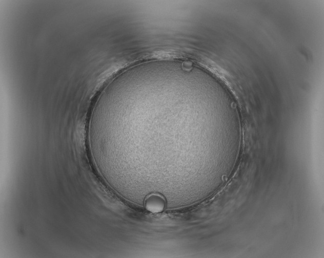 X0000115760297200911131201