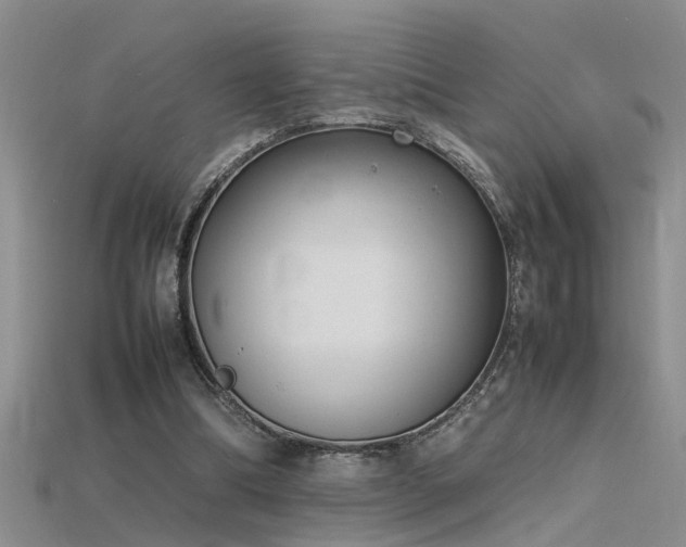 X0000115760298200911131201