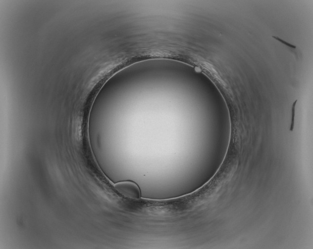 X0000115760299200911131201
