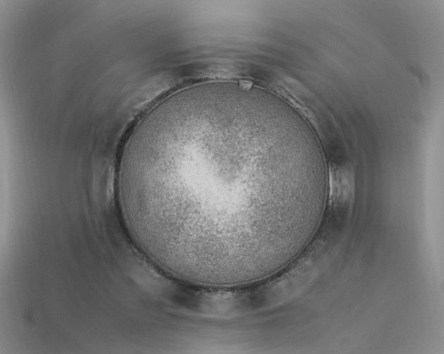 X0000115760301200911131201