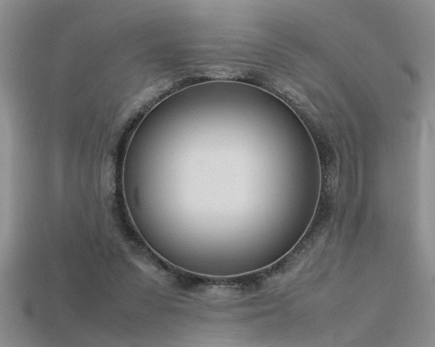 X0000115760303200911131201