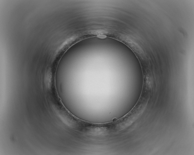 X0000115760304200911131201