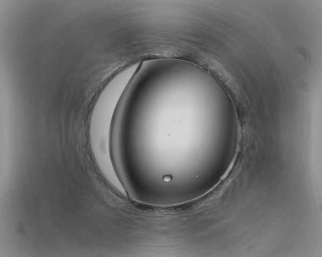 X0000115760305200911131201