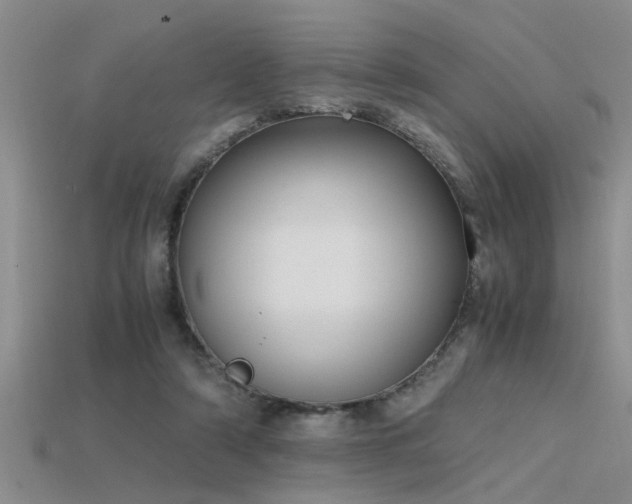 X0000115760306200911131201