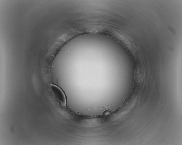 X0000115760307200911131201