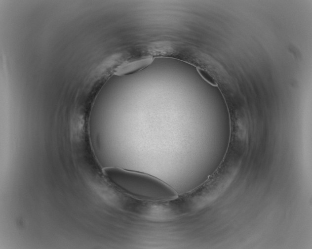X0000115760308200911131201