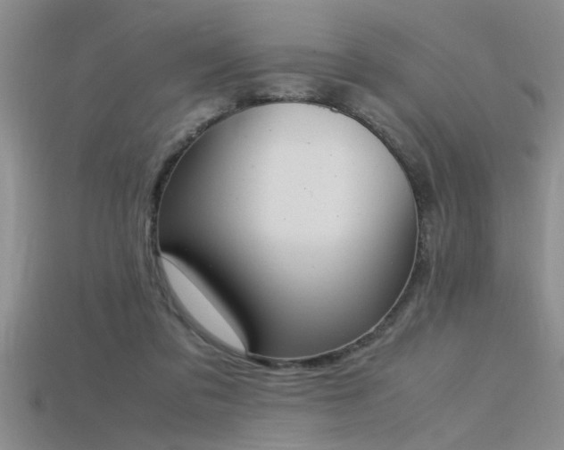 X0000115760309200911131201