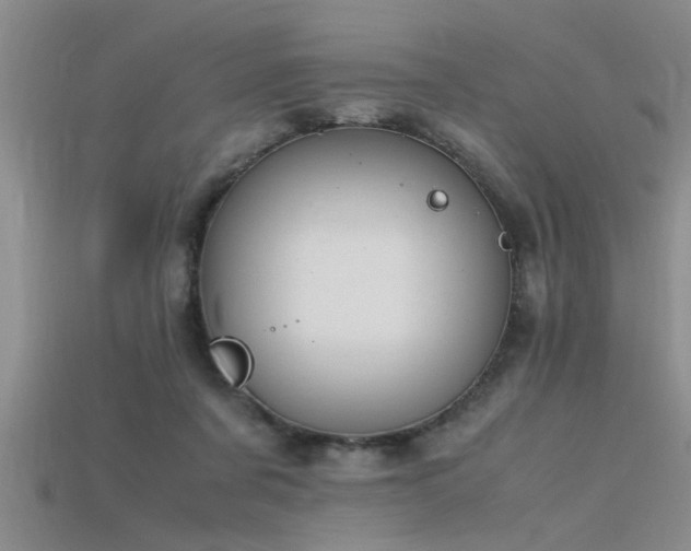 X0000115760311200911131201