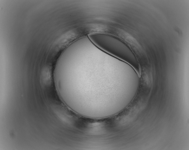 X0000115760312200911131201