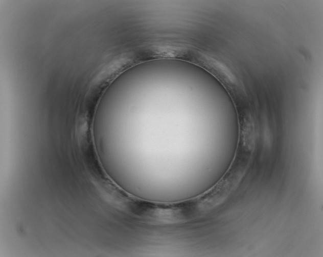 X0000115760314200911131201