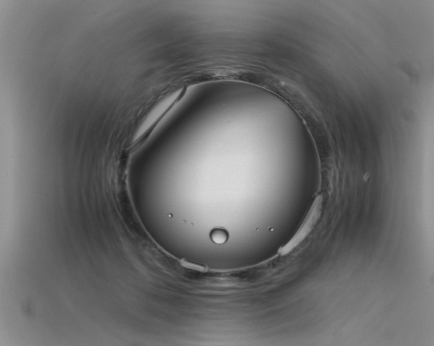 X0000115760316200911131201