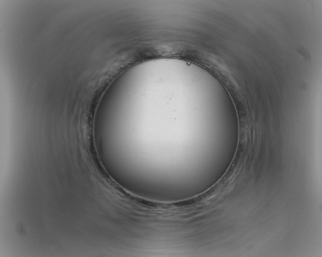 X0000115760317200911131201