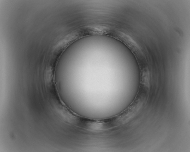 X0000115760318200911131201