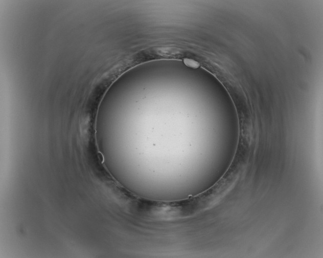 X0000115760319200911131201