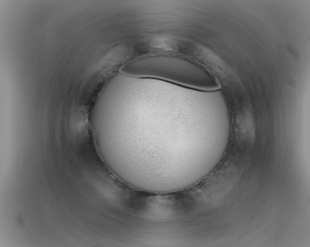 X0000115760320200911131201