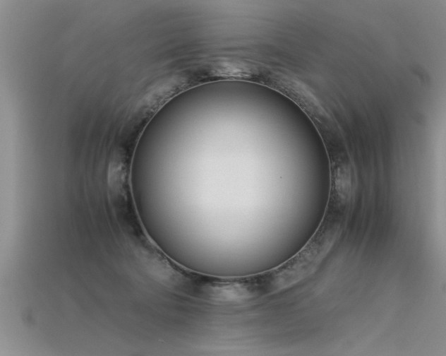 X0000115760322200911131201