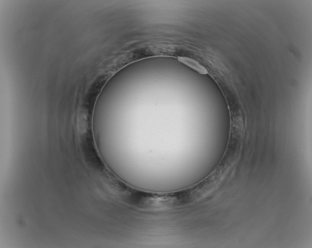 X0000115760323200911131201