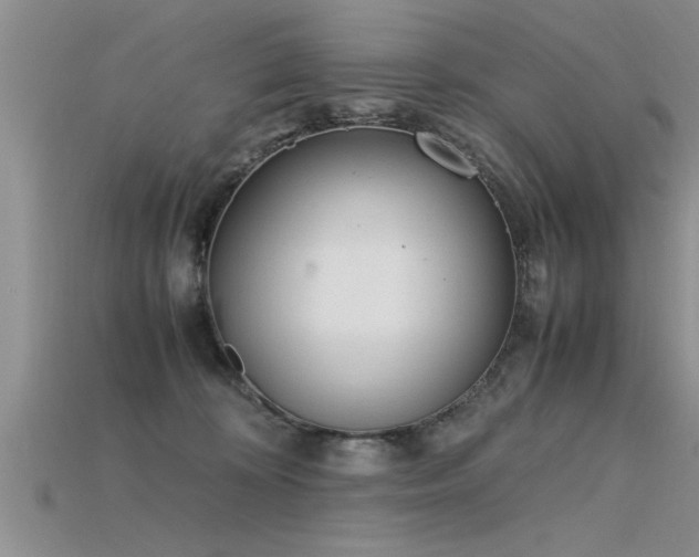 X0000115760324200911131201