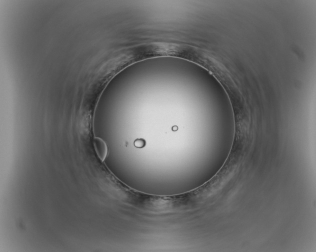 X0000115760325200911131201