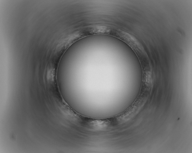 X0000115760326200911131201
