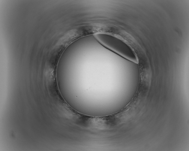 X0000115760327200911131201