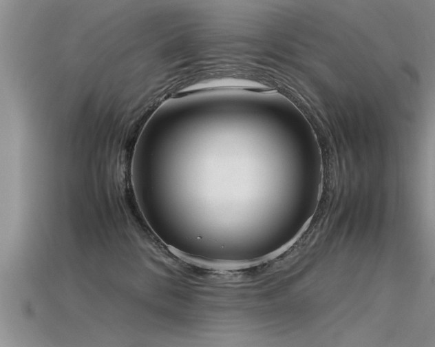 X0000115760328200911131201