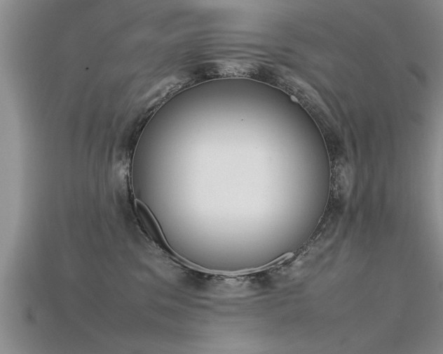 X0000115760329200911131201