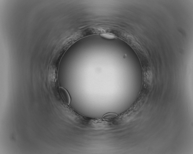 X0000115760331200911131201