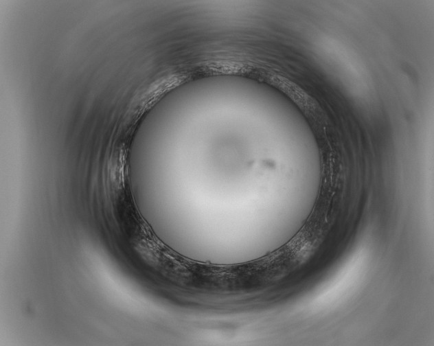 X0000115760334200911131201