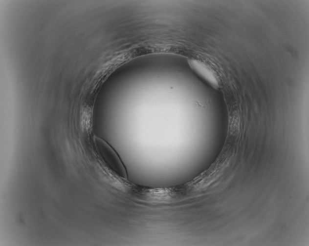 X0000115760335200911131201