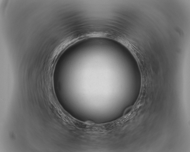 X0000115760337200911131200