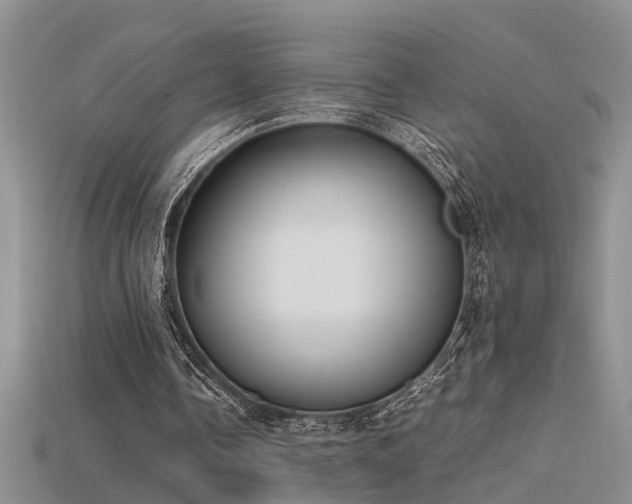 X0000115760338200911131200