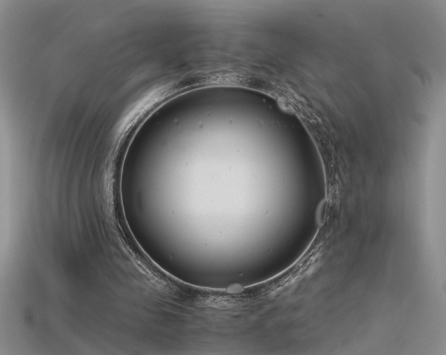 X0000115760341200911131200