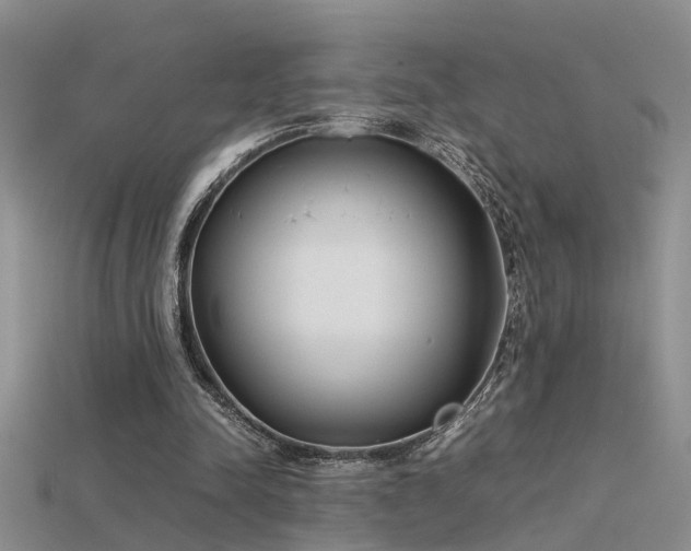 X0000115760342200911131200