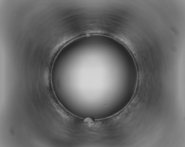 X0000115760345200911131200