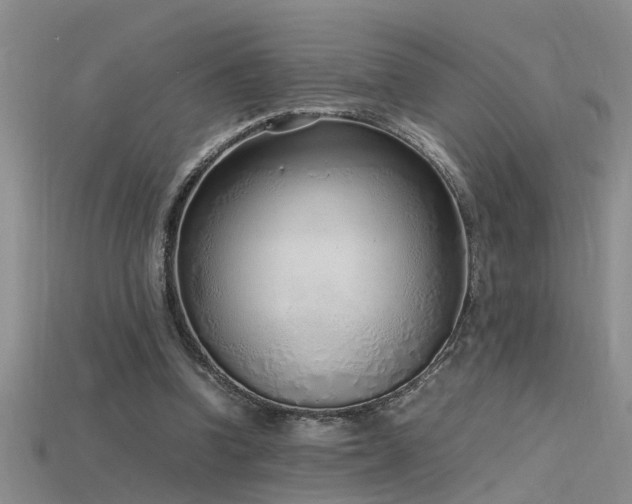 X0000115760346200911131200