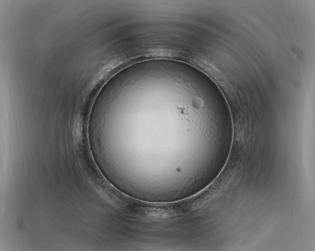 X0000115760347200911131200