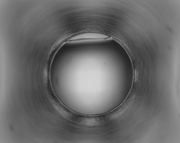 X0000115760349200911131200