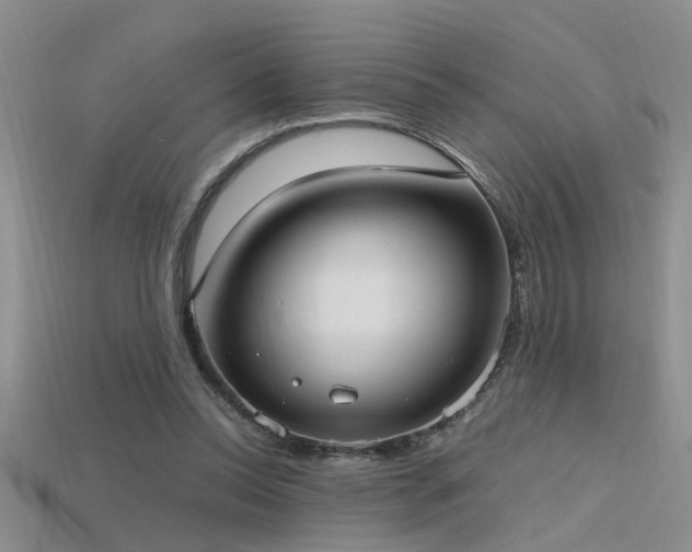 X0000115760350200911131200