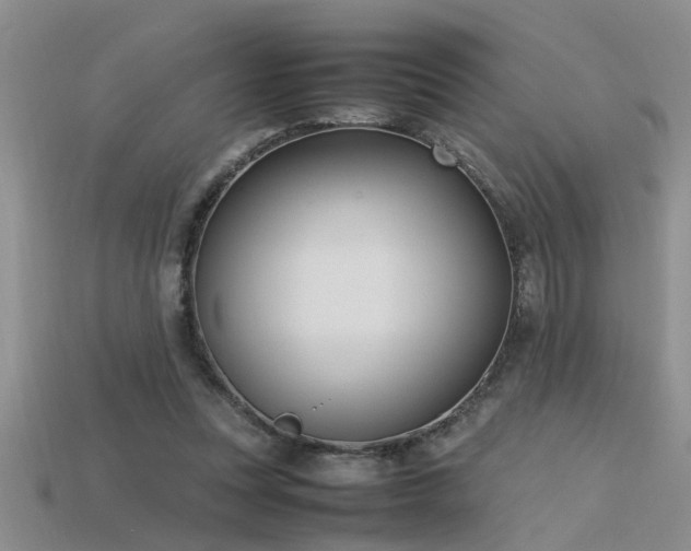 X0000115760351200911131200