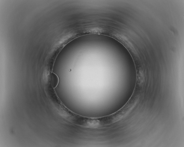 X0000115760355200911131200