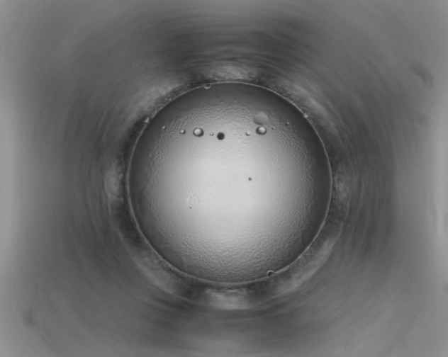 X0000115760359200911131200