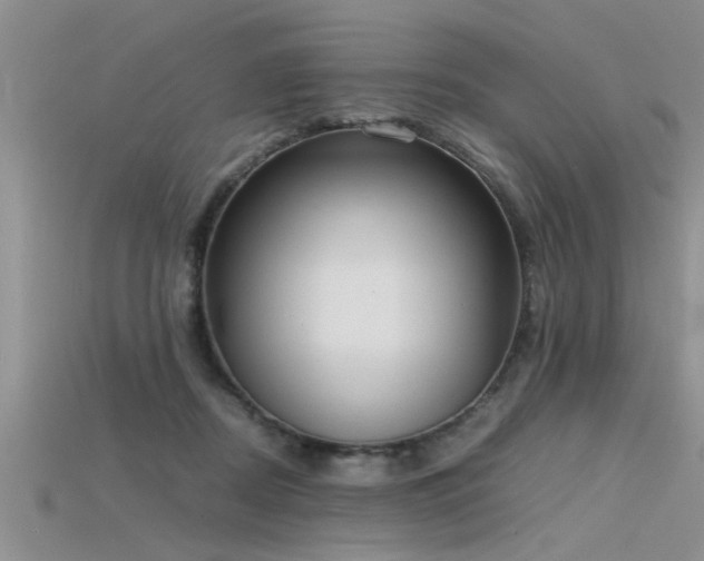 X0000115760362200911131200