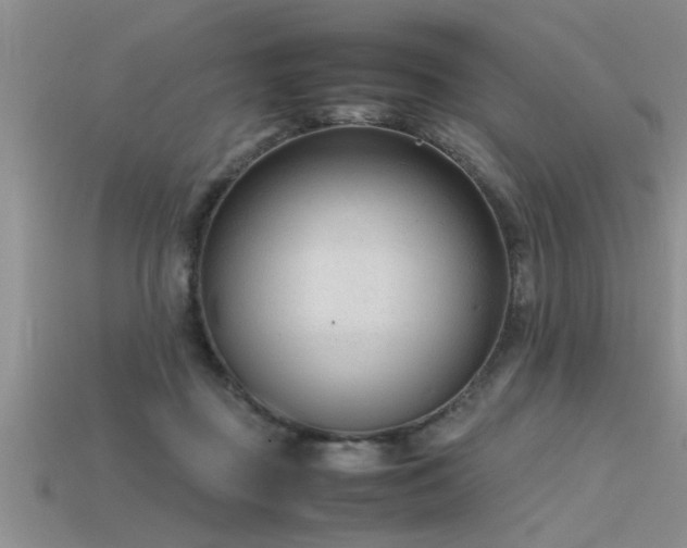 X0000115760363200911131200
