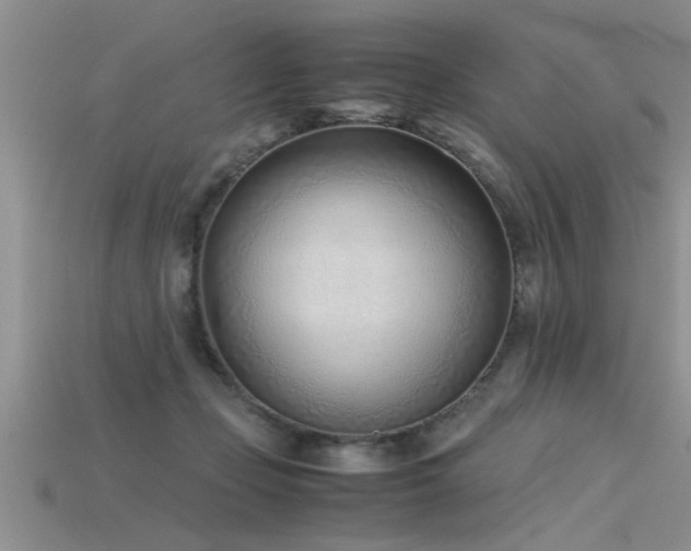 X0000115760365200911131200