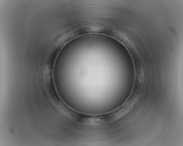 X0000115760366200911131200