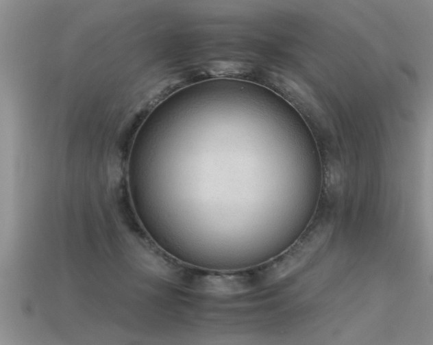 X0000115760367200911131200