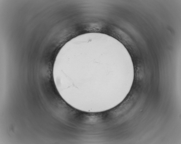 X0000115760370200911131200