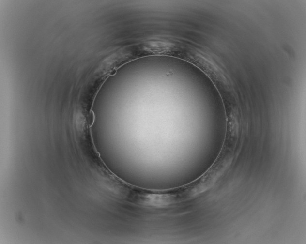 X0000115760371200911131200
